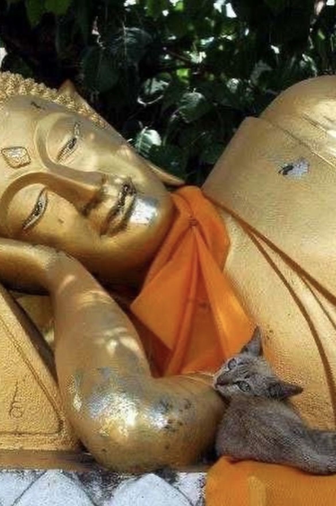 MINDFULNESS MEDITACE